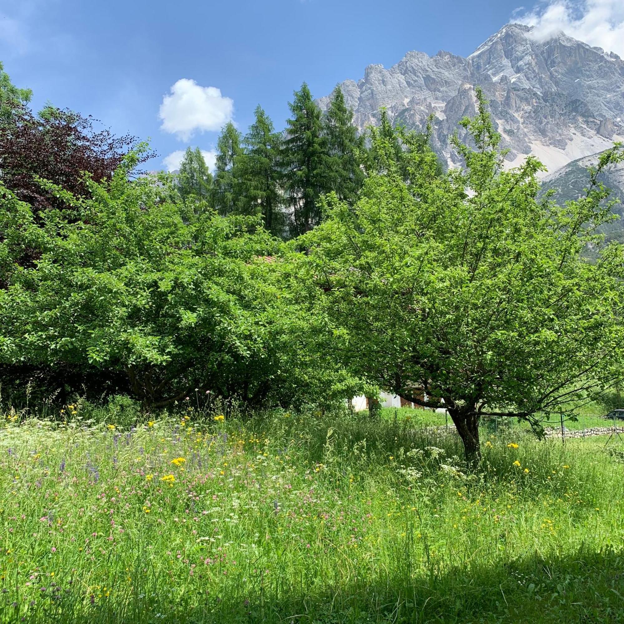 Апартаменты Piccolo Gioiello Di Montagna Villanova  Экстерьер фото